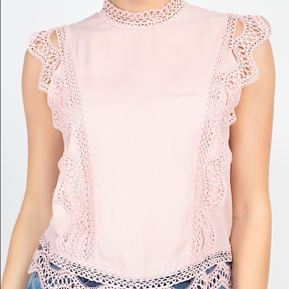 Blush Dressy Top